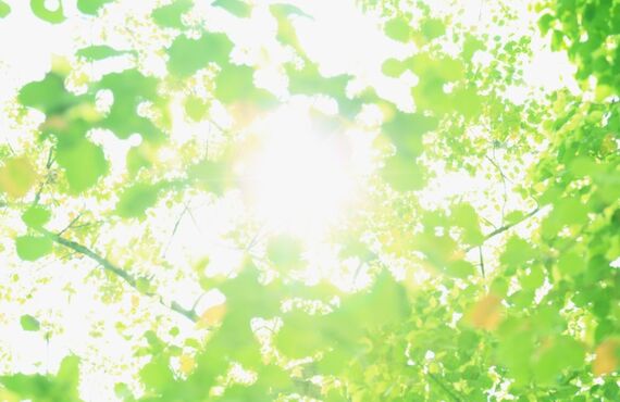 リフォームをお考えのお客様！ぜひ、KTサービスにお任せ下さい！